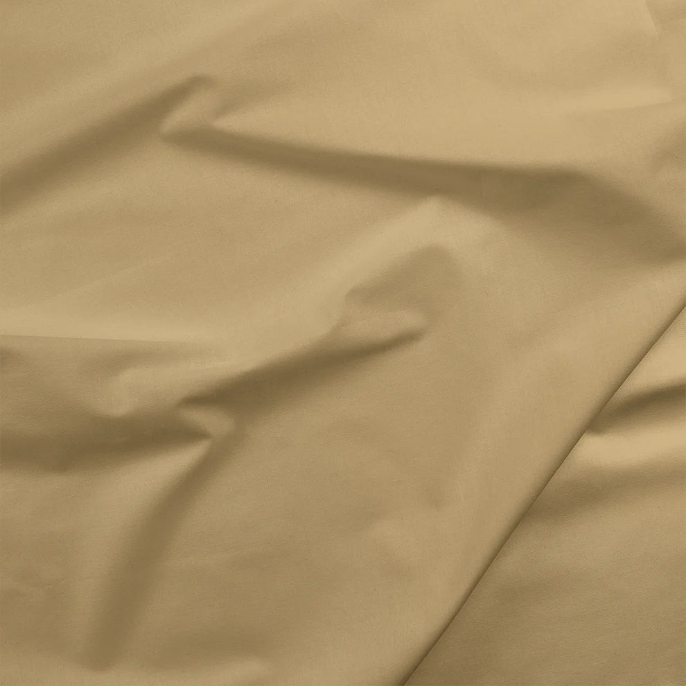 Painters Palette Solids - Beige