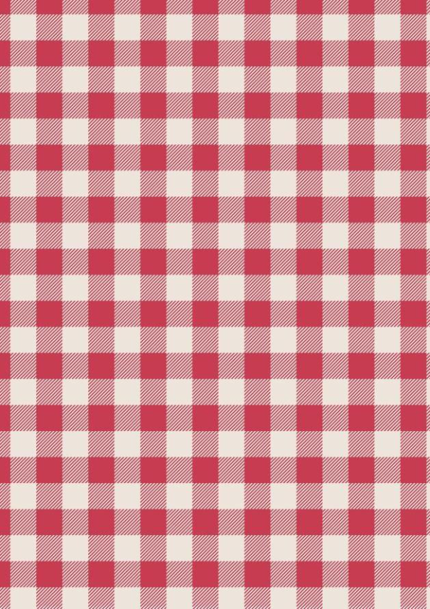 Lewis & Irene - Country Comfort FLANNEL - Cozy Red Buffalo Check