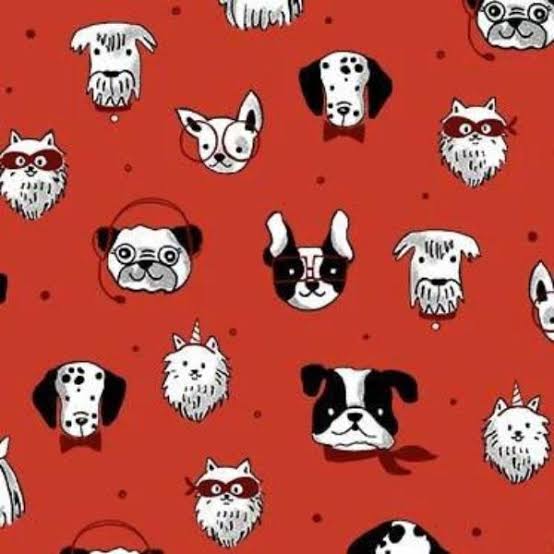 Michael Miller - Bow-Wow-Wow - Push Pups