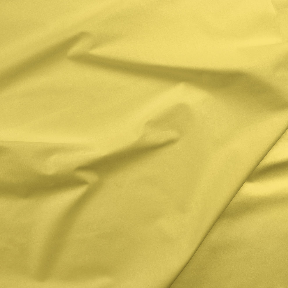 Painters Palette Solids - Maize