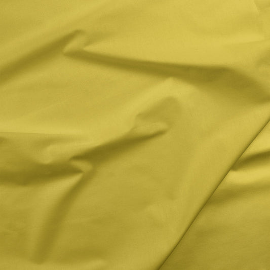 Painters Palette Solids - Sulfur