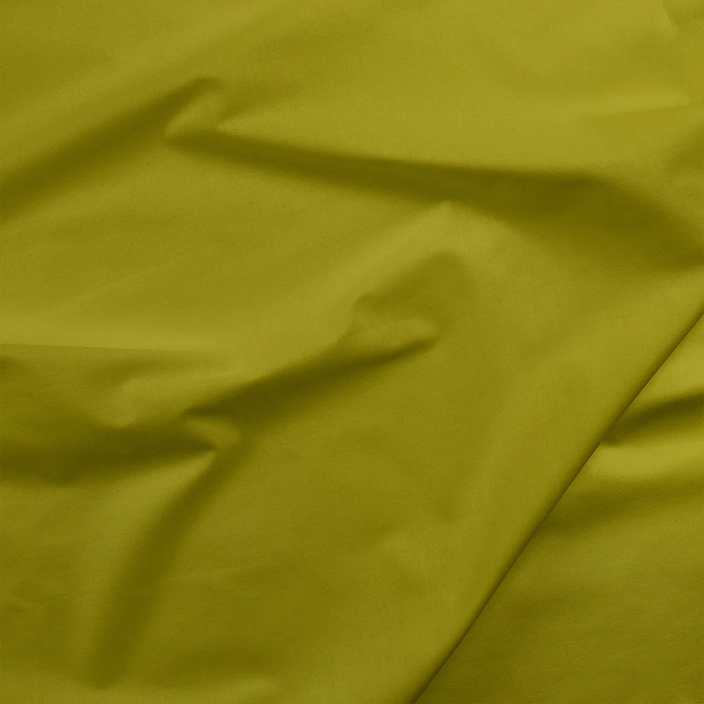 Painters Palette Solids - Wasabi