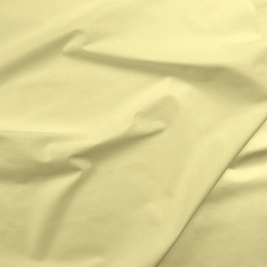 Painters Palette Solids - Citrus Yellow