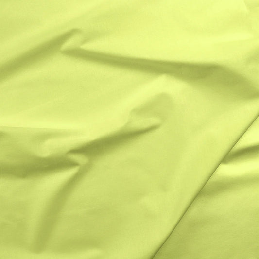 Painters Palette Solids - Honeydew
