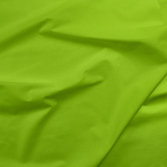 Painters Palette Solids - Apple Green