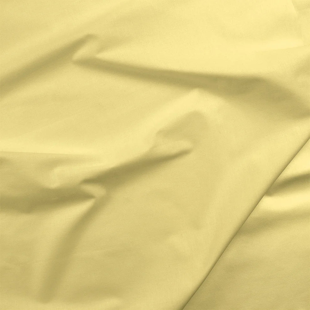 Painters Palette Solids - Banana