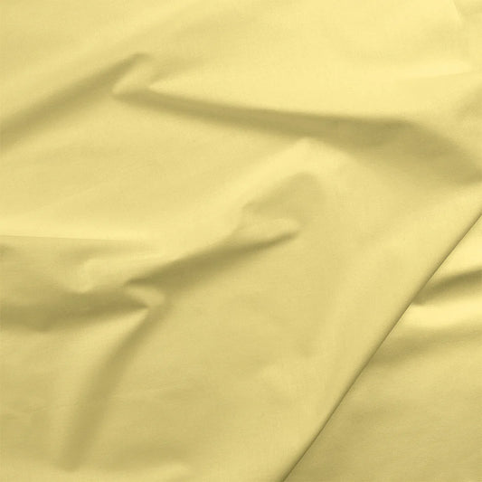 Painters Palette Solids - Banana
