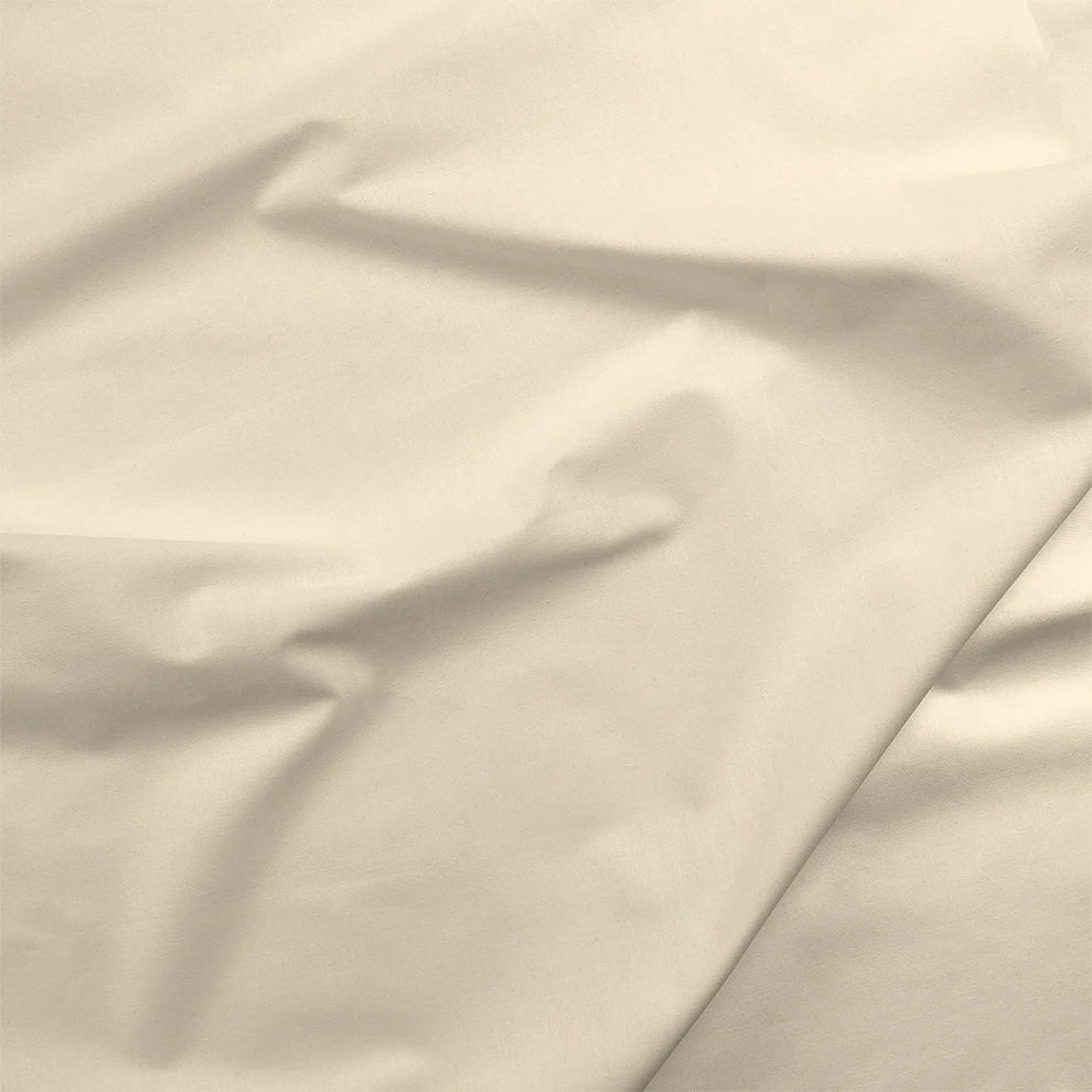 Painters Palette Solids - Oyster