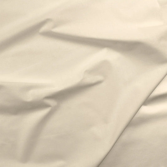 Painters Palette Solids - Oyster