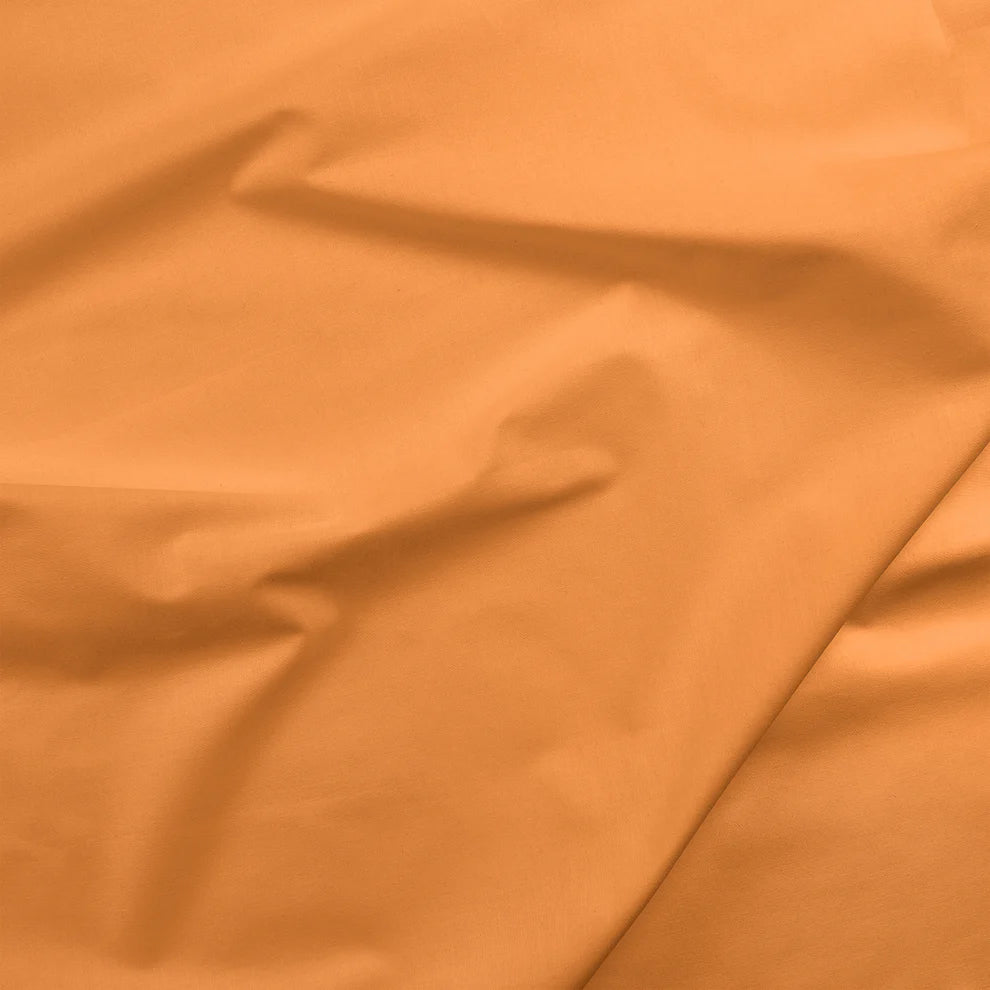 Painters Palette Solids - Butterscotch