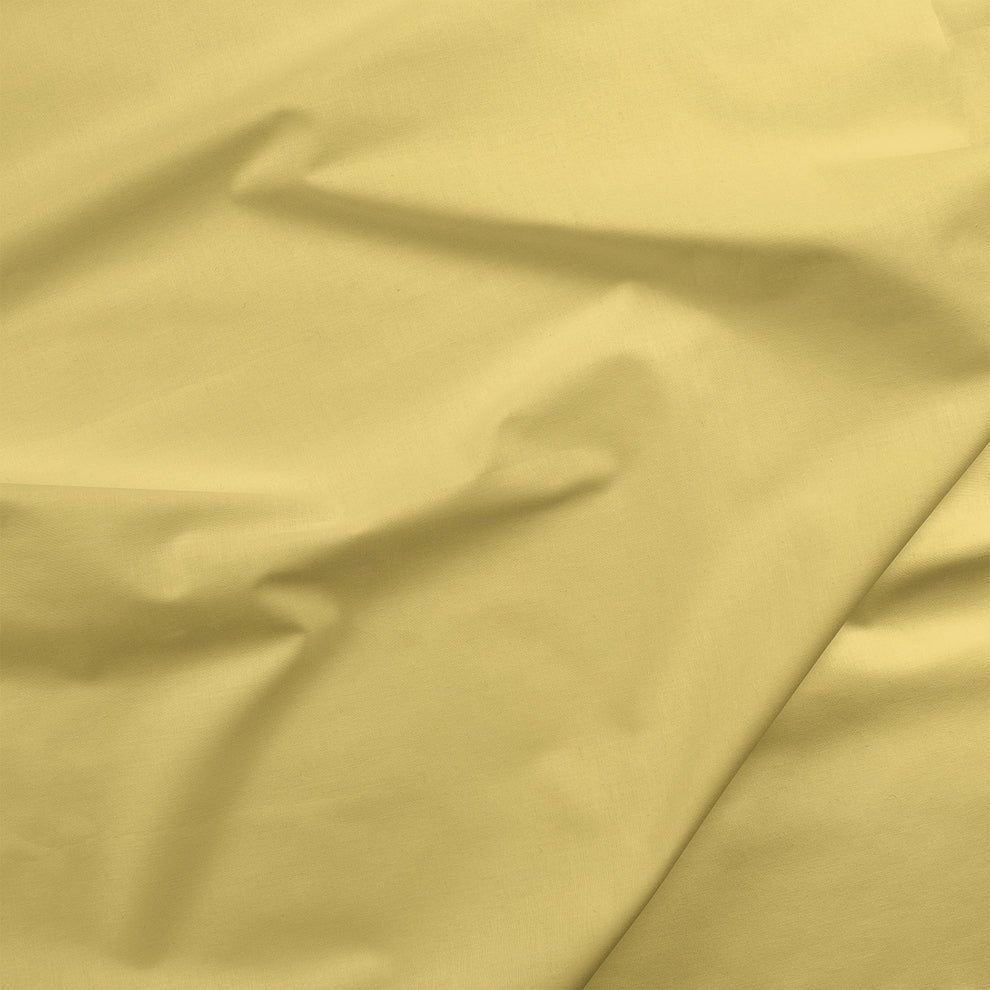 Painters Palette Solids - Pear