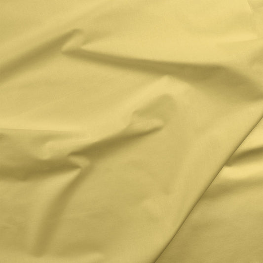 Painters Palette Solids - Pear