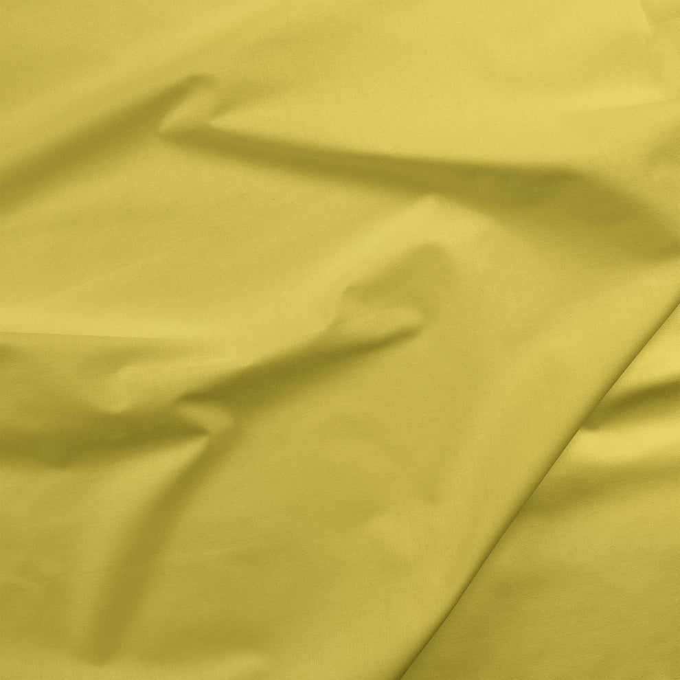 Painters Palette Solids - Kiwi