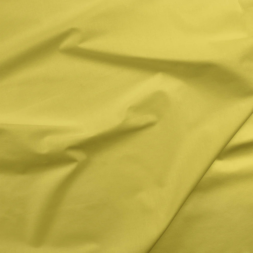 Painters Palette Solids - Kiwi