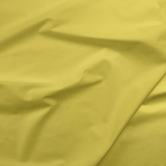 Painters Palette Solids - Kiwi