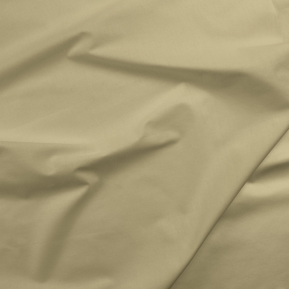 Painters Palette Solids - Green Tea