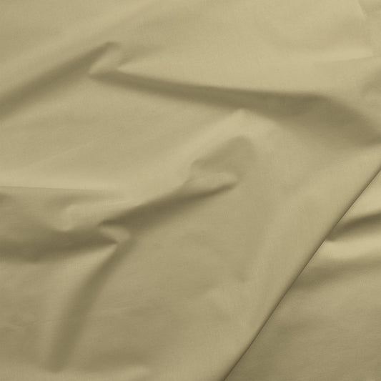 Painters Palette Solids - Green Tea
