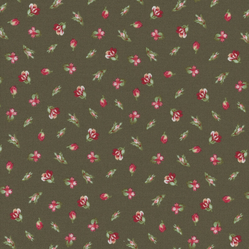 Maywood Studio - Regal Rose