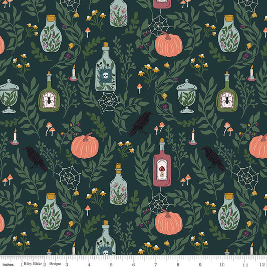 Riley Blake - The Apothecary - Main (Deep Teal)