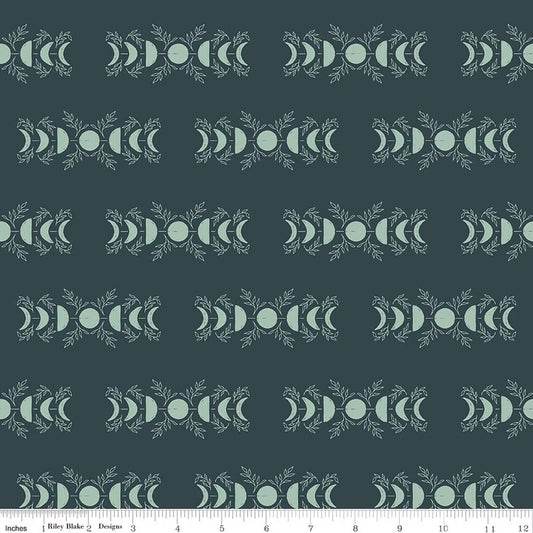 Riley Blake - The Apothecary - Celestial (Teal)