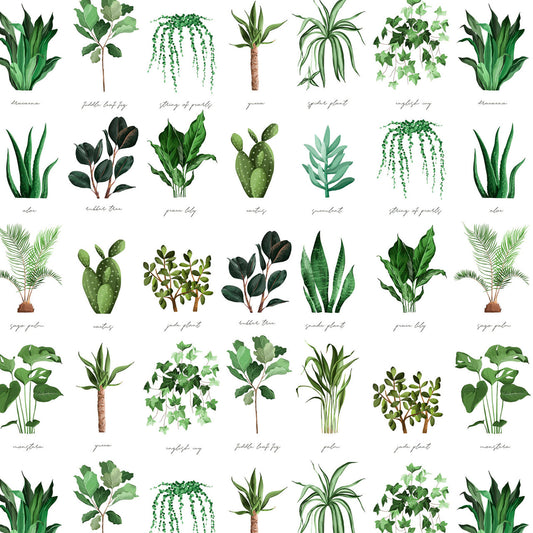Bargain Basement Fabric - Plant Names by David Textiles