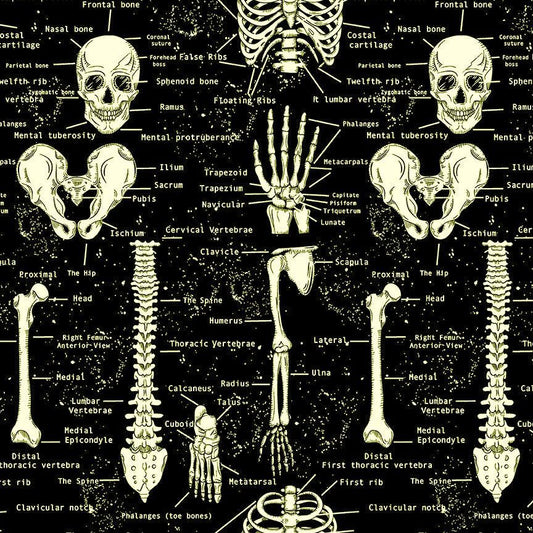Timeless Treasures -  Glow In The Dark Skeletons