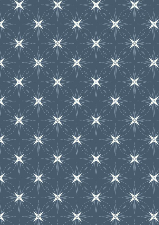 Lewis & Irene - Where The Sky Dances - North Star on Dark Blue