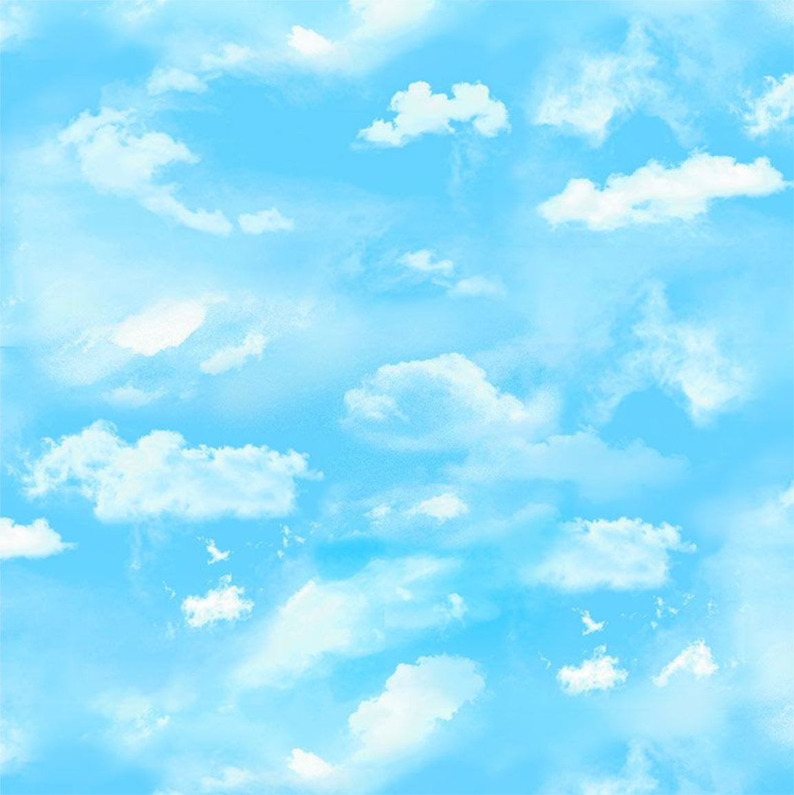 Timeless Treasures -  Meadow Bloom - Meadow Cloudy Sky