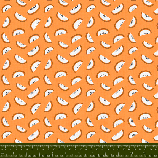 Bargain Basement Fabric - Fruity - Kiwi (Orange)